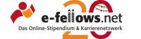 e-fellows.net GmbH & Co. KG